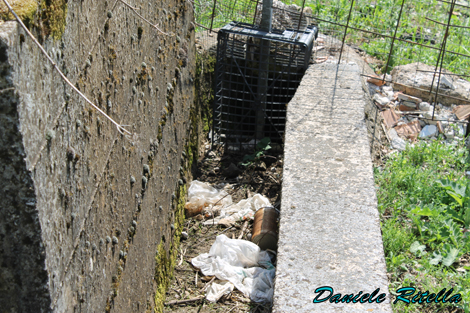 Progetto di trasformazione in stagno di un canaletto vuoto!
